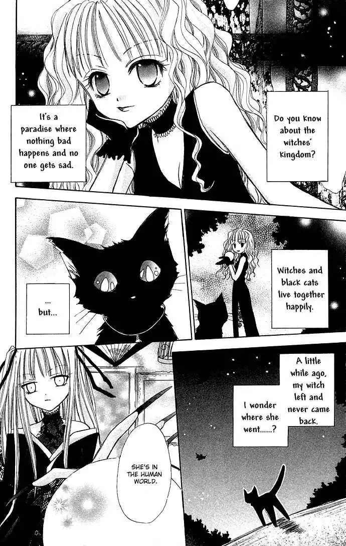 La Suite D'amour Du Chat Noir Chapter 1 7